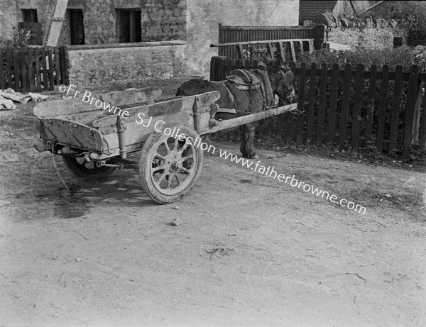 DONKEY AND CART